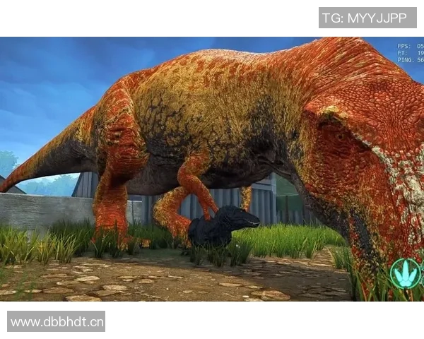 深度对话：探寻陈丽在CSGO世界中的成长与挑战之旅